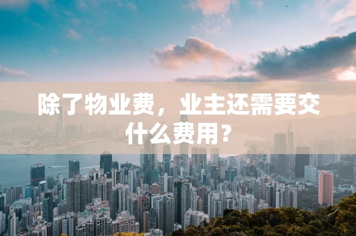 除了物业费，业主还需要交什么费用？