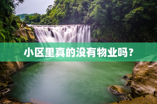 小区里真的没有物业吗？