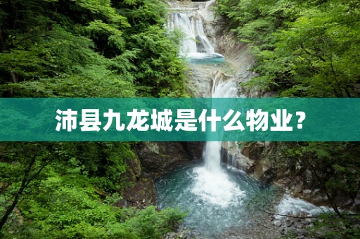 沛县九龙城是什么物业？