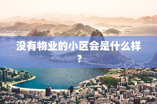 没有物业的小区会是什么样？