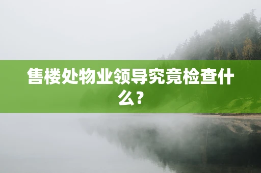 售楼处物业领导究竟检查什么？