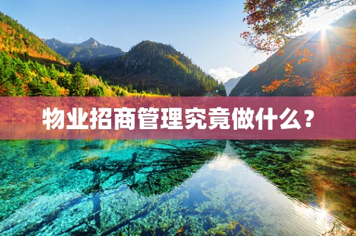 物业招商管理究竟做什么？