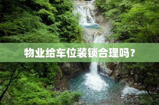 物业给车位装锁合理吗？