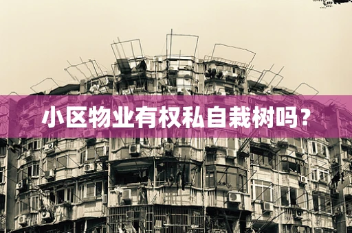 小区物业有权私自栽树吗？