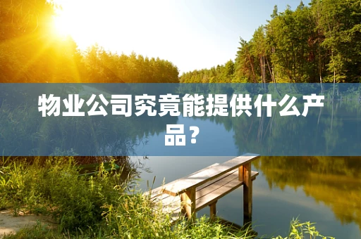 物业公司究竟能提供什么产品？