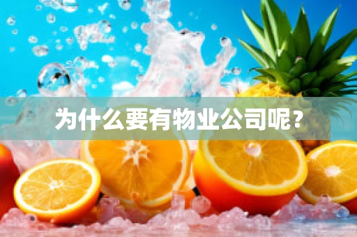 为什么要有物业公司呢？