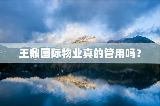 王鼎国际物业真的管用吗？