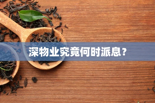 深物业究竟何时派息？