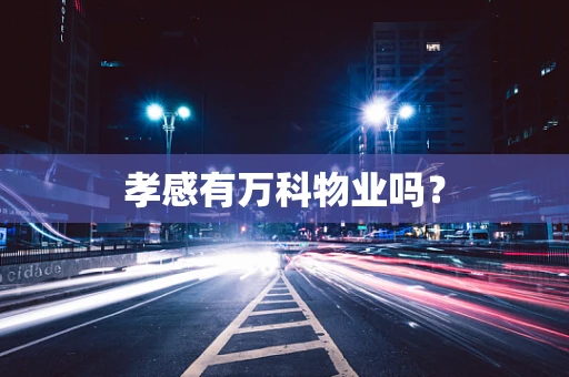 孝感有万科物业吗？