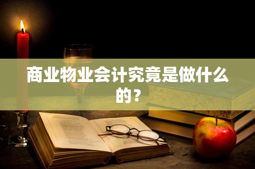 商业物业会计究竟是做什么的？