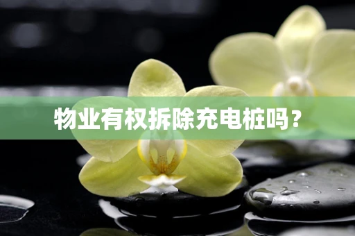 物业有权拆除充电桩吗？