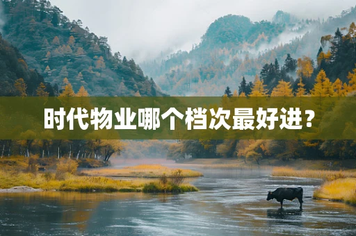 时代物业哪个档次最好进？