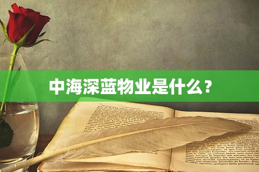 中海深蓝物业是什么？