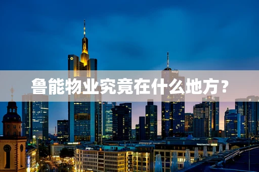 鲁能物业究竟在什么地方？