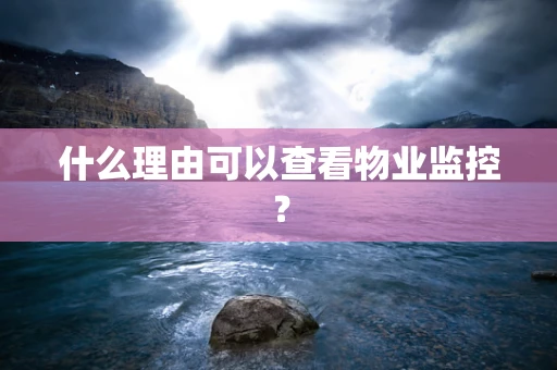 什么理由可以查看物业监控？