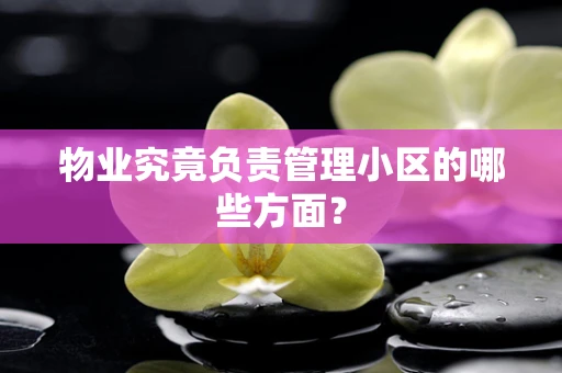 物业究竟负责管理小区的哪些方面？