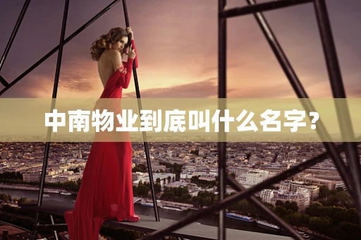 中南物业到底叫什么名字？