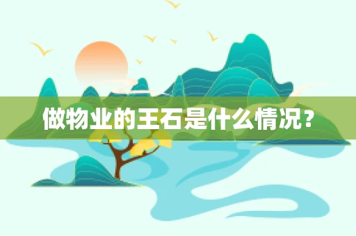 做物业的王石是什么情况？
