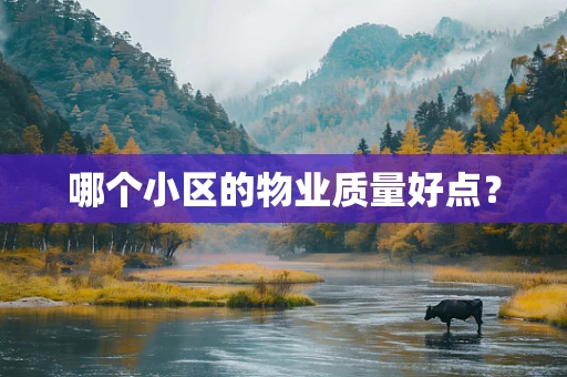哪个小区的物业质量好点？