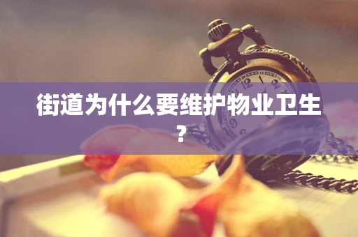 街道为什么要维护物业卫生？