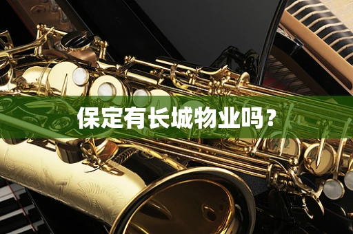 保定有长城物业吗？