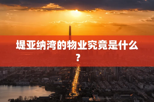 堤亚纳湾的物业究竟是什么？
