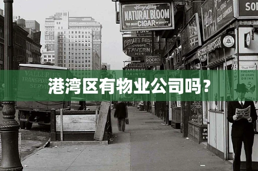 港湾区有物业公司吗？