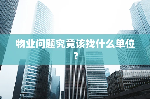 物业问题究竟该找什么单位？