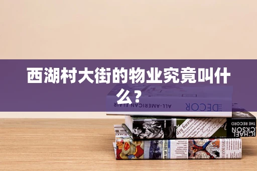 西湖村大街的物业究竟叫什么？
