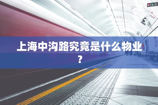 上海中沟路究竟是什么物业？