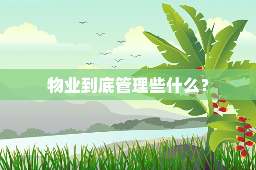 物业到底管理些什么？