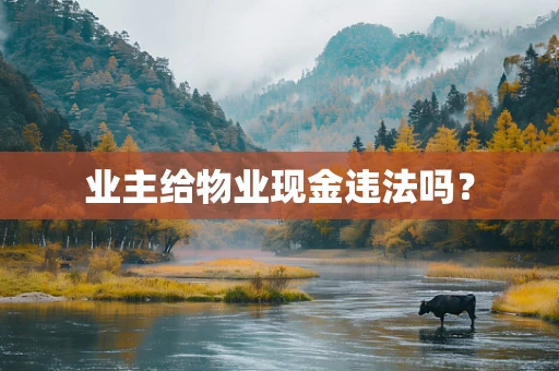 业主给物业现金违法吗？