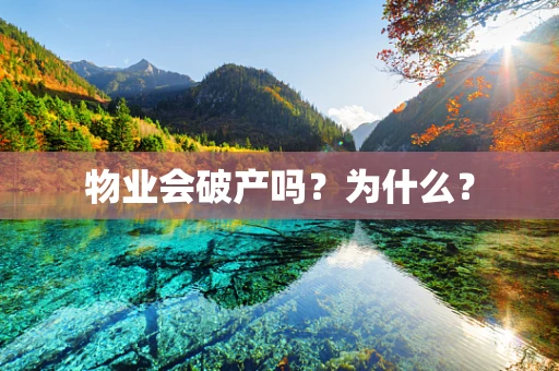 物业会破产吗？为什么？