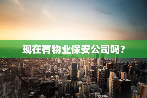 现在有物业保安公司吗？
