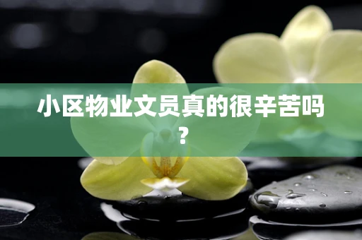 小区物业文员真的很辛苦吗？