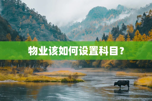 物业该如何设置科目？