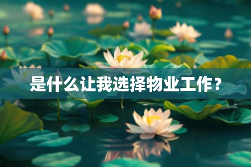 是什么让我选择物业工作？