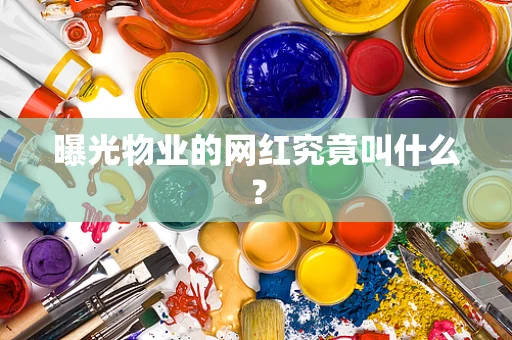 曝光物业的网红究竟叫什么？