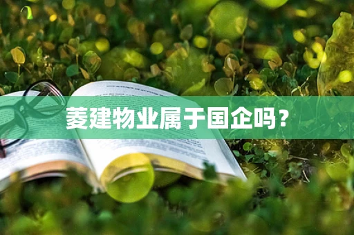 菱建物业属于国企吗？