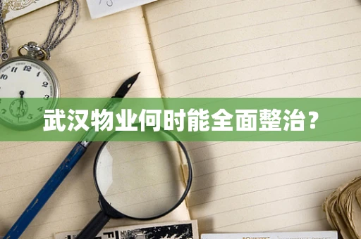 武汉物业何时能全面整治？