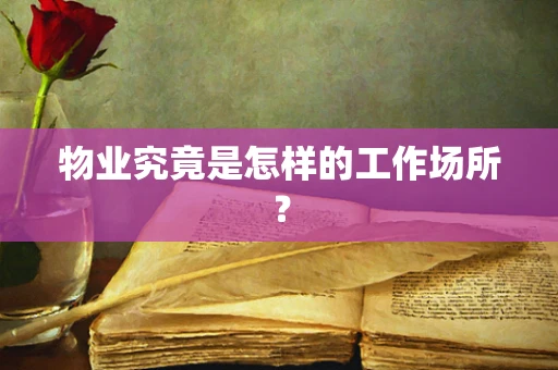 物业究竟是怎样的工作场所？