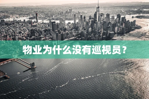 物业为什么没有巡视员？
