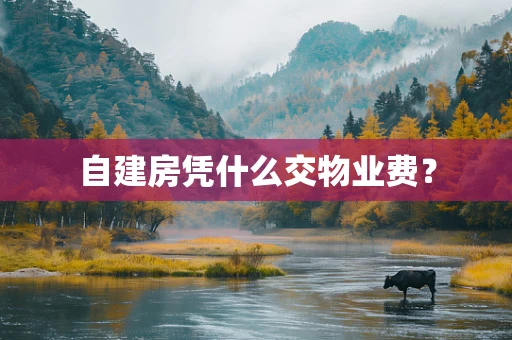自建房凭什么交物业费？