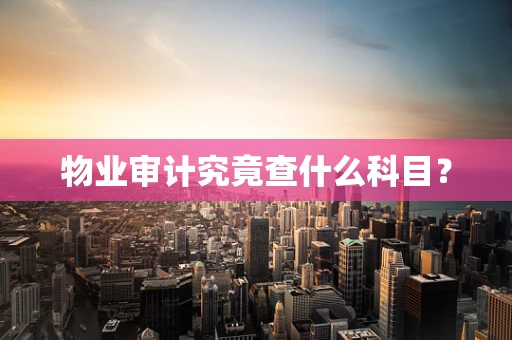 物业审计究竟查什么科目？