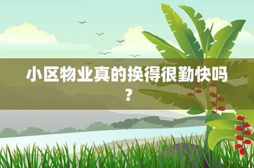 小区物业真的换得很勤快吗？