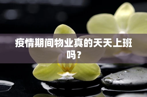 疫情期间物业真的天天上班吗？