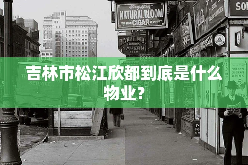 吉林市松江欣都到底是什么物业？