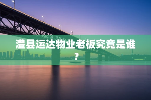 澧县运达物业老板究竟是谁？