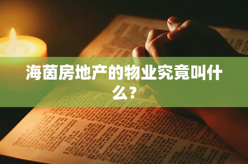 海茵房地产的物业究竟叫什么？