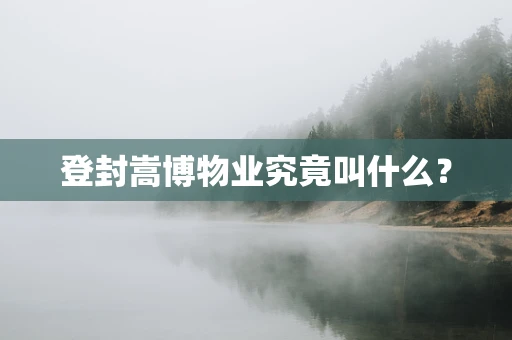登封嵩博物业究竟叫什么？